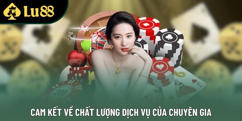 Cam kết về chất lượng dịch vụ của chuyên gia