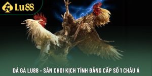 Đá Gà Lu88 - Sân Chơi Kịch Tính Đẳng Cấp Số 1 Châu Á
