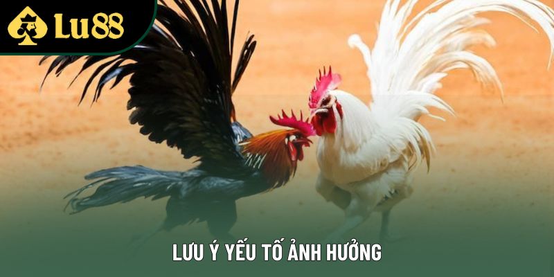 Lưu ý yếu tố ảnh hưởng