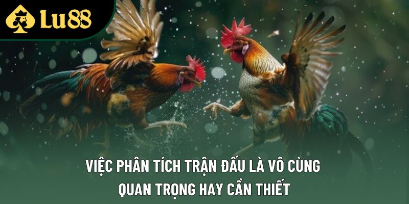 Việc phân tích trận đấu là vô cùng quan trọng hay cần thiết